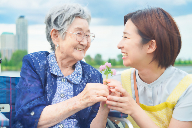 adult guardianship
